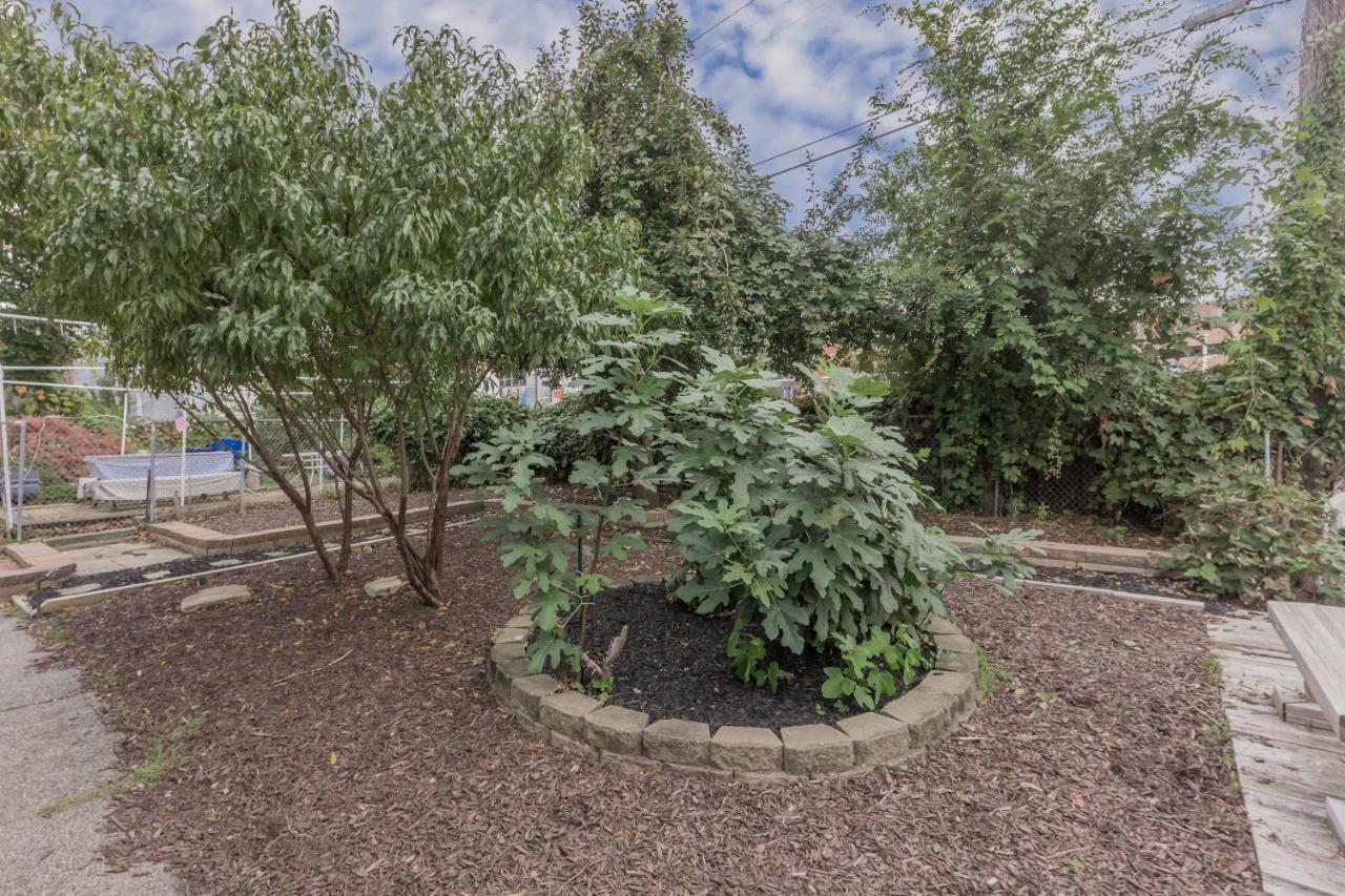 In The Heart Of Little Italy! Free Parking! Cleveland Exterior foto